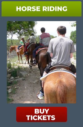 CAJA PASEO A CABALLO