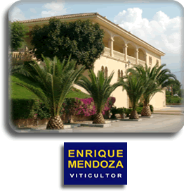 Bodegas Mendoza Viticultor